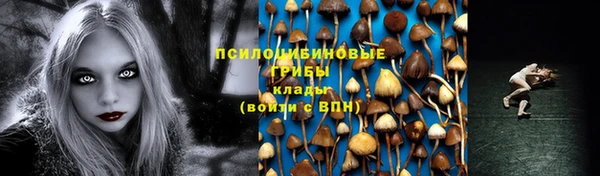 метадон Липки