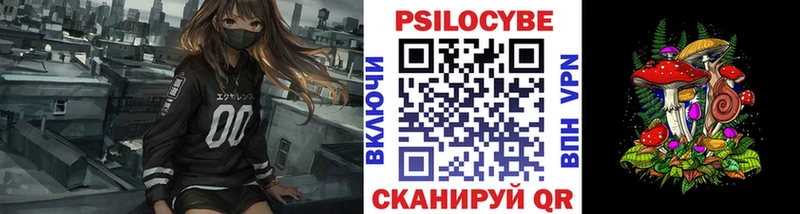 Галлюциногенные грибы Psilocybine cubensis  где купить наркоту  Кораблино 